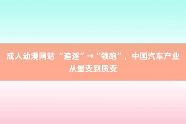 成人动漫网站 “追逐”→“领跑”，中国汽车产业从量变到质变