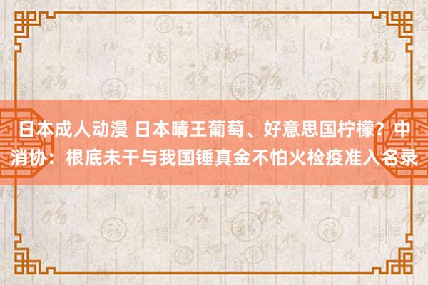 日本成人动漫 日本晴王葡萄、好意思国柠檬？中消协：根底未干与我国锤真金不怕火检疫准入名录