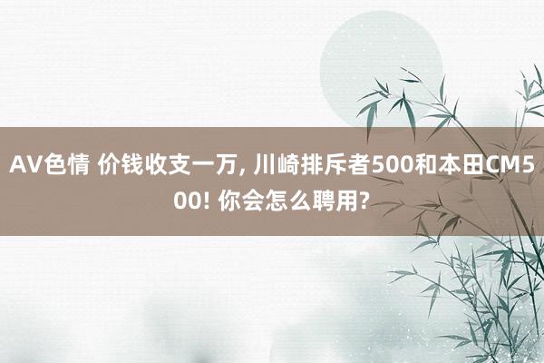 AV色情 价钱收支一万， 川崎排斥者500和本田CM500! 你会怎么聘用?