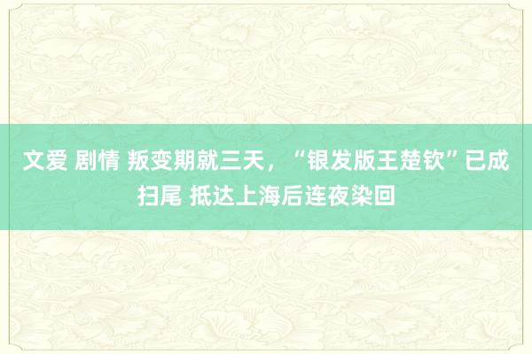 文爱 剧情 叛变期就三天，“银发版王楚钦”已成扫尾 抵达上海后连夜染回