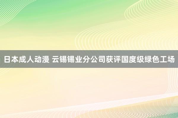 日本成人动漫 云锡锡业分公司获评国度级绿色工场