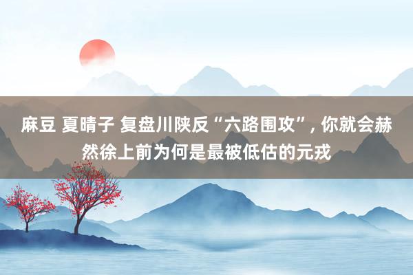 麻豆 夏晴子 复盘川陕反“六路围攻”, 你就会赫然徐上前为何是最被低估的元戎