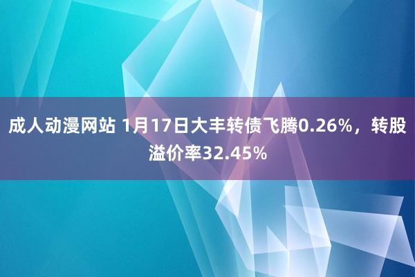 成人动漫网站 1月17日大丰转债飞腾0.26%，转股溢价率32.45%
