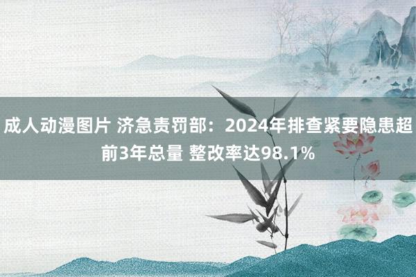 成人动漫图片 济急责罚部：2024年排查紧要隐患超前3年总量 整改率达98.1%