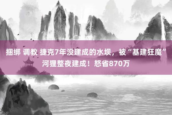 捆绑 调教 捷克7年没建成的水坝，被“基建狂魔”河狸整夜建成！怒省870万