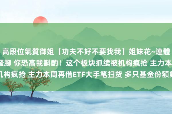 高段位氣質御姐【功夫不好不要找我】姐妹花~連體絲襪~大奶晃動~絲襪騷腳 你恐高我斟酌！这个板块抓续被机构疯抢 主力本周再借ETF大手笔扫货 多只基金份额集体更正高