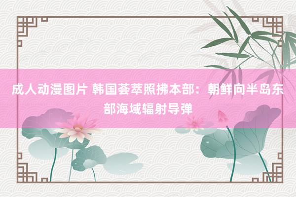 成人动漫图片 韩国荟萃照拂本部：朝鲜向半岛东部海域辐射导弹