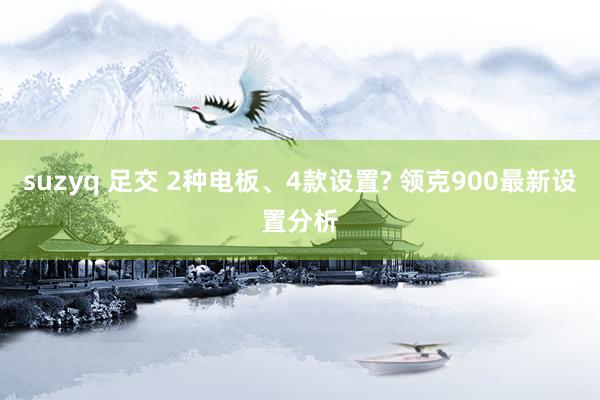 suzyq 足交 2种电板、4款设置? 领克900最新设置分析