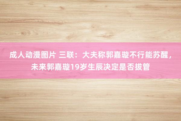 成人动漫图片 三联：大夫称郭嘉璇不行能苏醒，未来郭嘉璇19岁生辰决定是否拔管