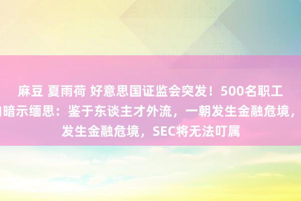 麻豆 夏雨荷 好意思国证监会突发！500名职工得意辞职，业内暗示缅思：鉴于东谈主才外流，一朝发生金融危境，SEC将无法叮属