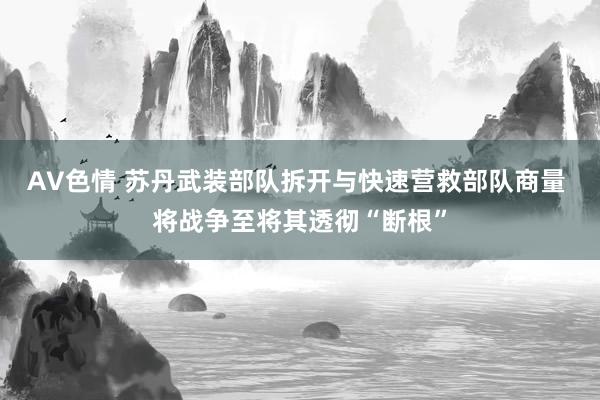 AV色情 苏丹武装部队拆开与快速营救部队商量 将战争至将其透彻“断根”