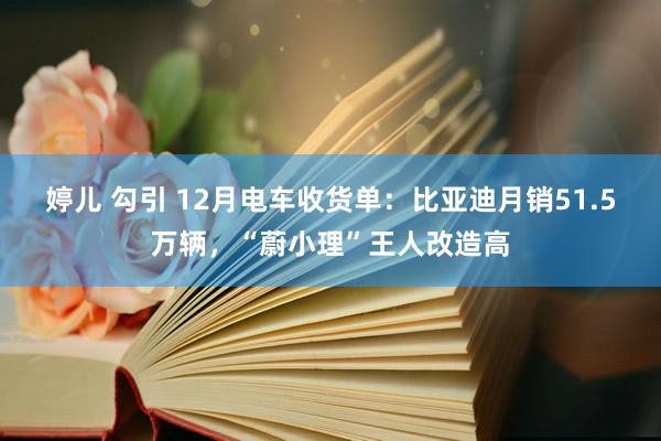 婷儿 勾引 12月电车收货单：比亚迪月销51.5万辆，“蔚小理”王人改造高