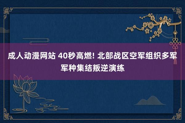 成人动漫网站 40秒高燃! 北部战区空军组织多军军种集结叛逆演练