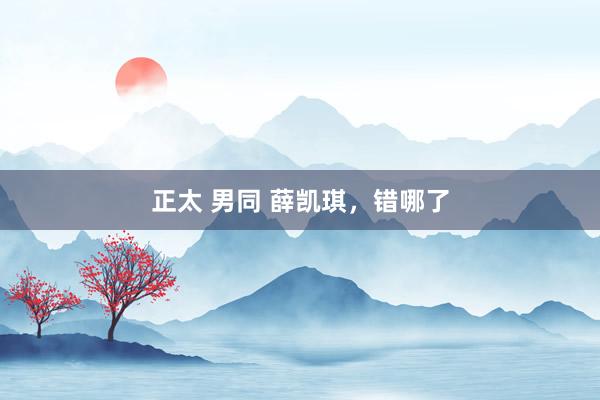 正太 男同 薛凯琪，错哪了