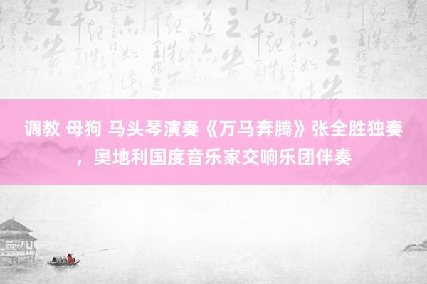 调教 母狗 马头琴演奏《万马奔腾》张全胜独奏，奥地利国度音乐家交响乐团伴奏