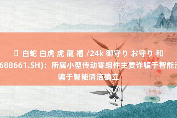 ✨白蛇 白虎 虎 龍 福 /24k 御守り お守り 和林微纳(688661.SH)：所属小型传动零组件主要诈骗于智能清洁确立