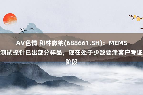 AV色情 和林微纳(688661.SH)：MEMS晶圆测试探针已出部分样品，现在处于少数要津客户考证阶段