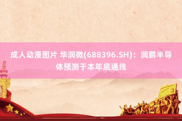 成人动漫图片 华润微(688396.SH)：润鹏半导体预测于本年底通线