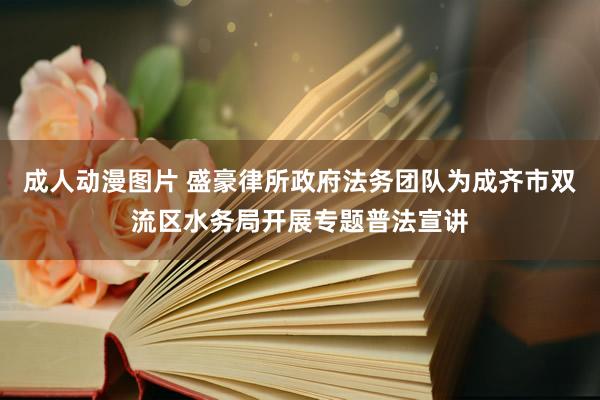 成人动漫图片 盛豪律所政府法务团队为成齐市双流区水务局开展专题普法宣讲