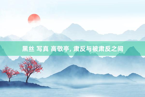 黑丝 写真 高敬亭, 肃反与被肃反之间