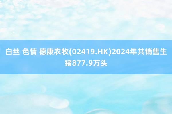 白丝 色情 德康农牧(02419.HK)2024年共销售生猪877.9万头