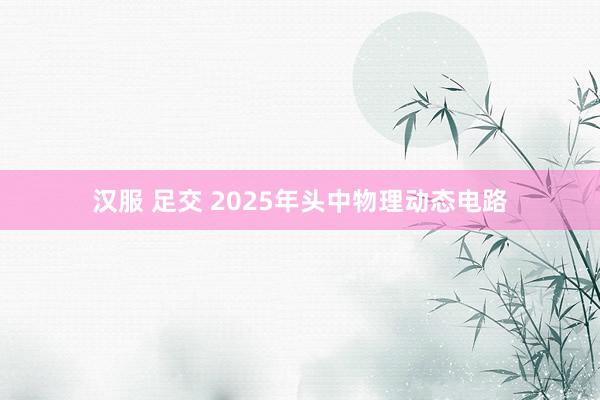 汉服 足交 2025年头中物理动态电路