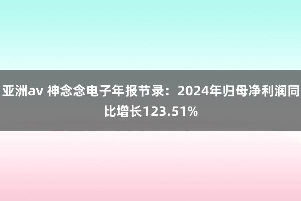 亚洲av 神念念电子年报节录：2024年归母净利润同比增长123.51%