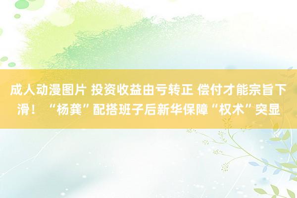 成人动漫图片 投资收益由亏转正 偿付才能宗旨下滑！ “杨龚”配搭班子后新华保障“权术”突显