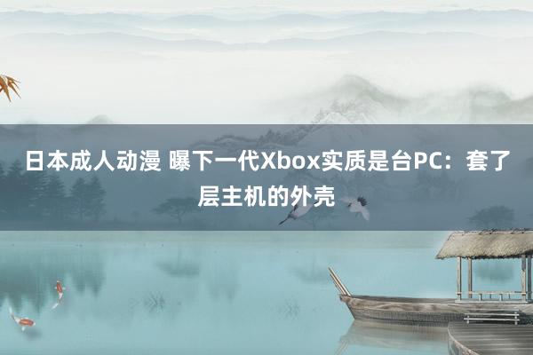 日本成人动漫 曝下一代Xbox实质是台PC：套了层主机的外壳