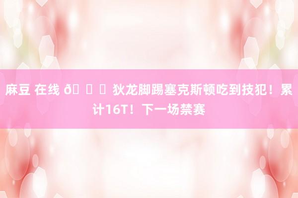 麻豆 在线 💀狄龙脚踢塞克斯顿吃到技犯！累计16T！下一场禁赛