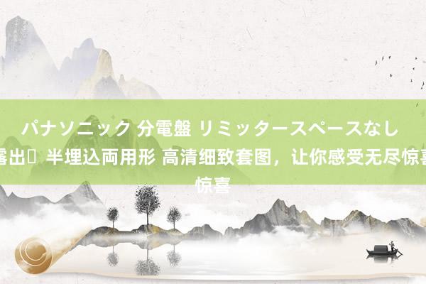 パナソニック 分電盤 リミッタースペースなし 露出・半埋込両用形 高清细致套图，让你感受无尽惊喜