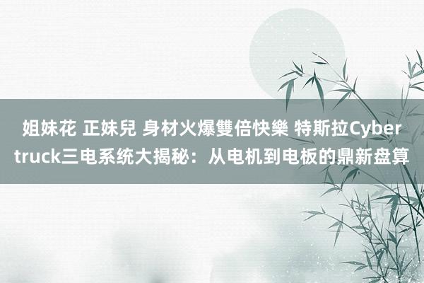 姐妹花 正妹兒 身材火爆雙倍快樂 特斯拉Cybertruck三电系统大揭秘：从电机到电板的鼎新盘算