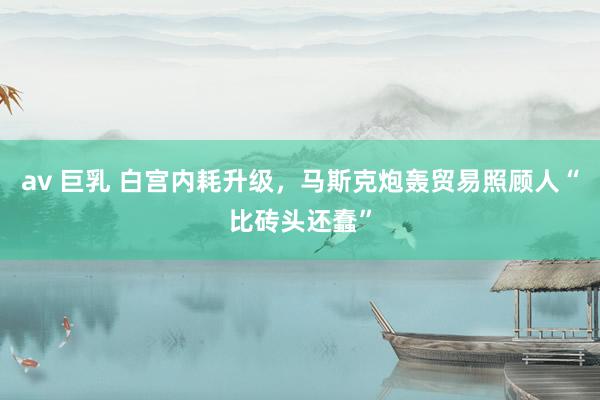 av 巨乳 白宫内耗升级，马斯克炮轰贸易照顾人“比砖头还蠢”
