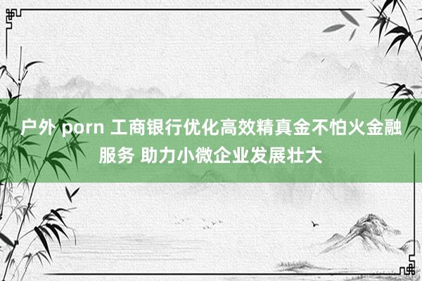 户外 porn 工商银行优化高效精真金不怕火金融服务 助力小微企业发展壮大