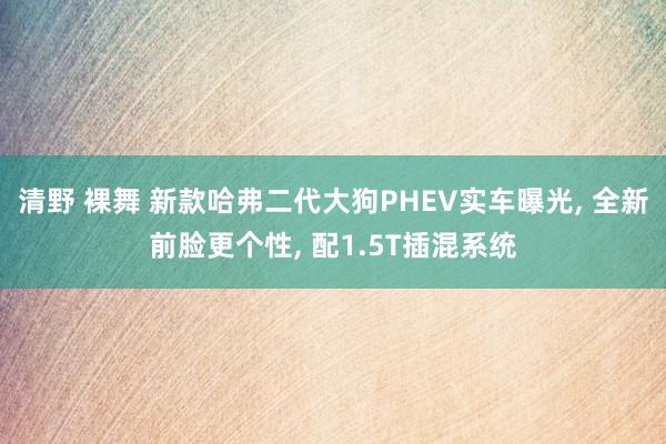 清野 裸舞 新款哈弗二代大狗PHEV实车曝光， 全新前脸更个性， 配1.5T插混系统